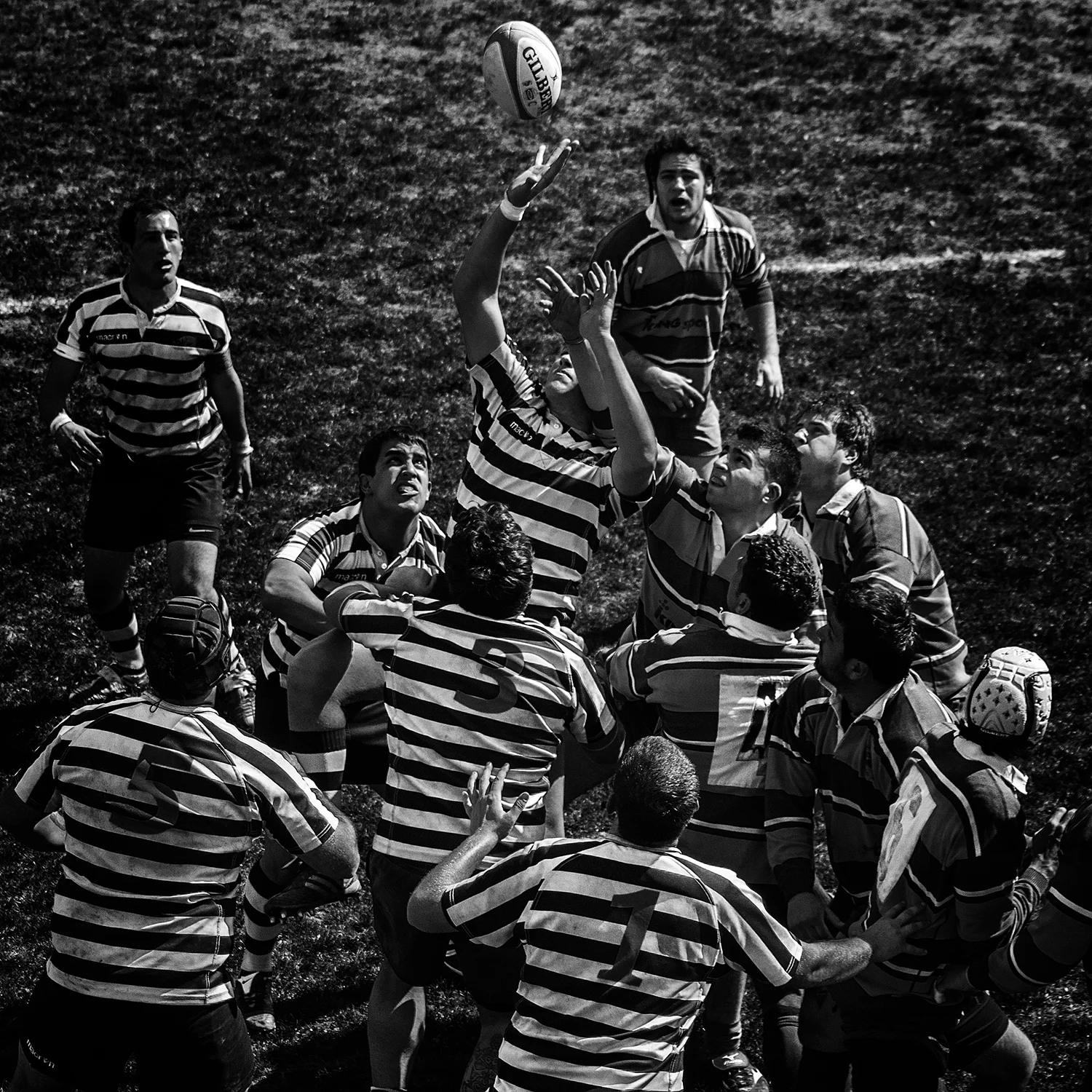  Rugby 