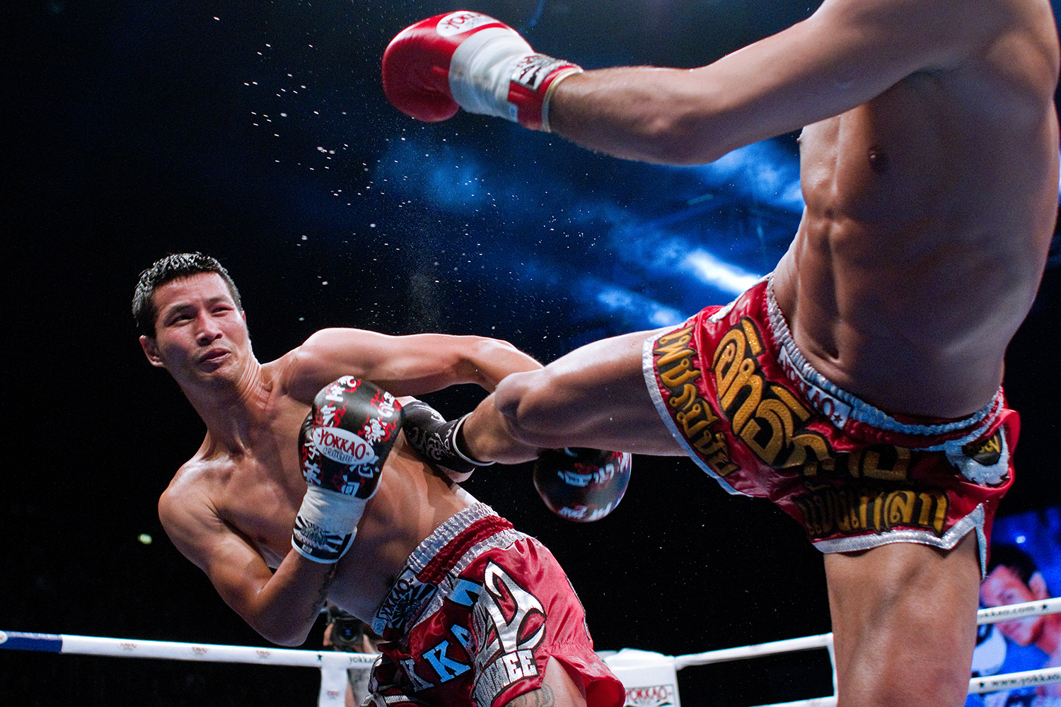  Martial Arts 