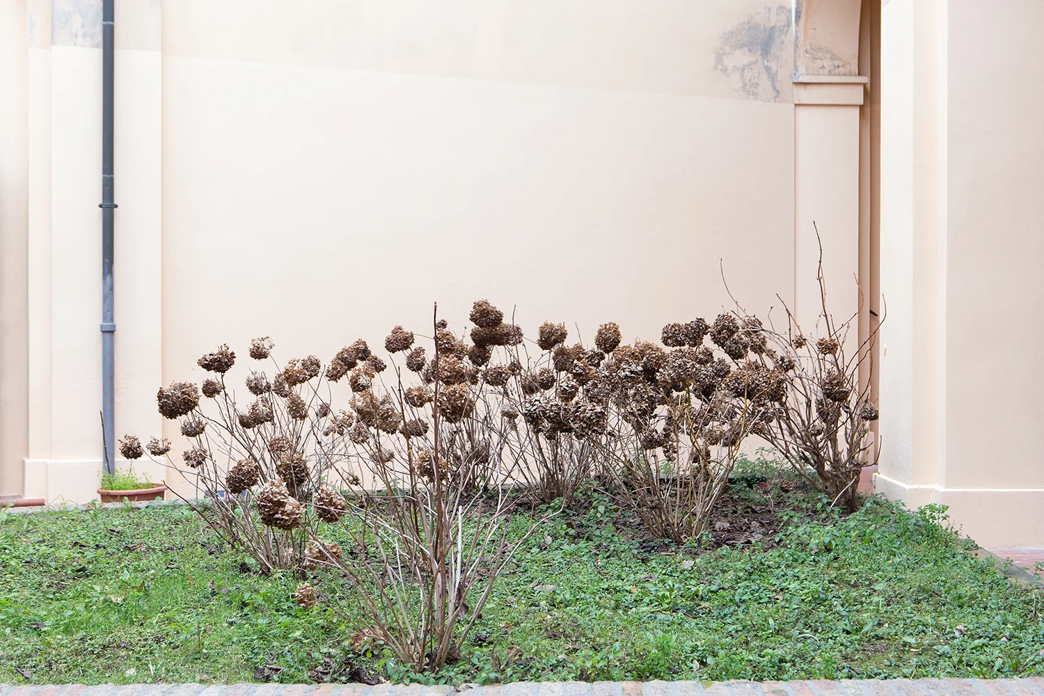 photovoice-04.jpg