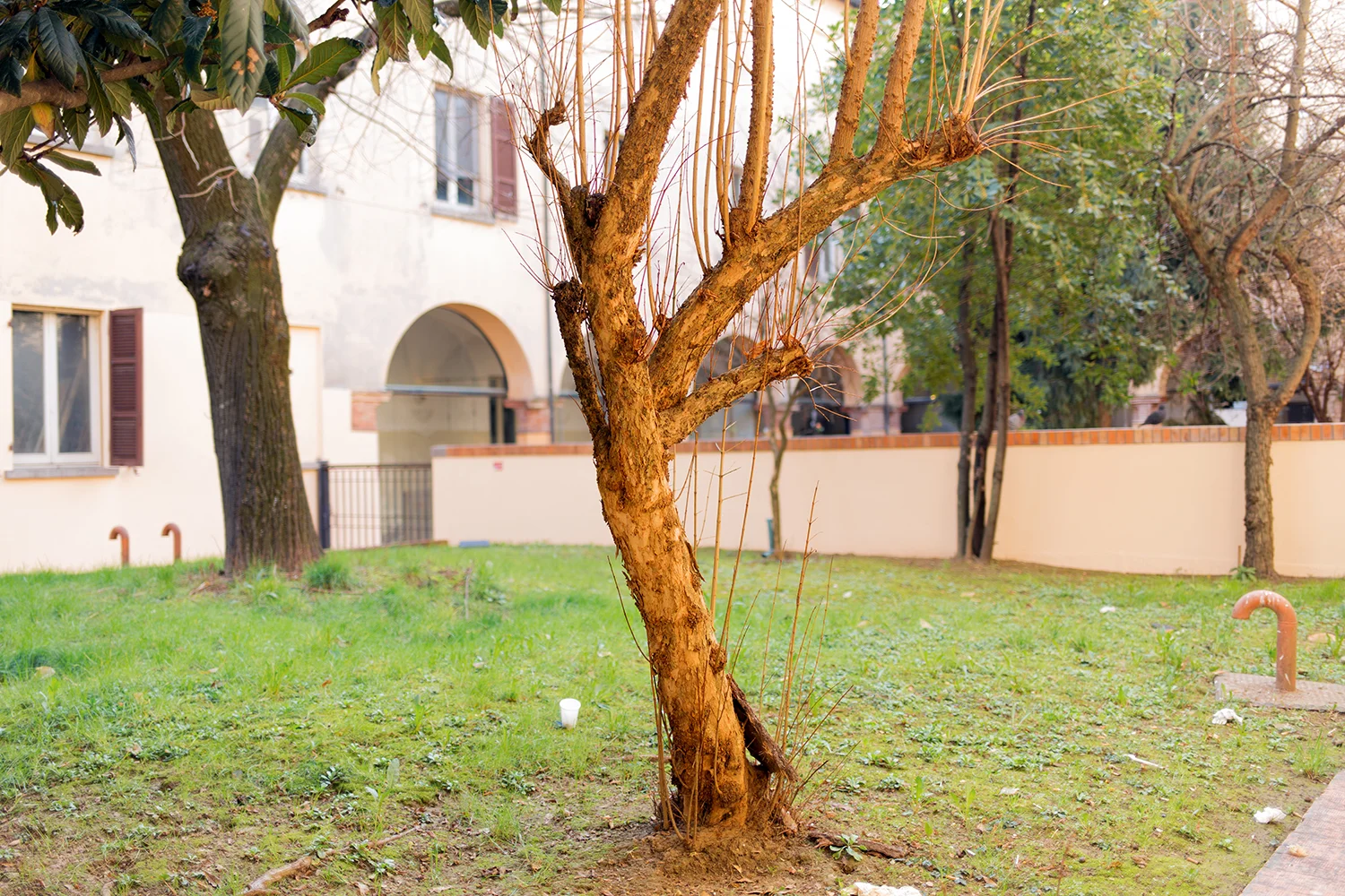 photovoice-10.jpg