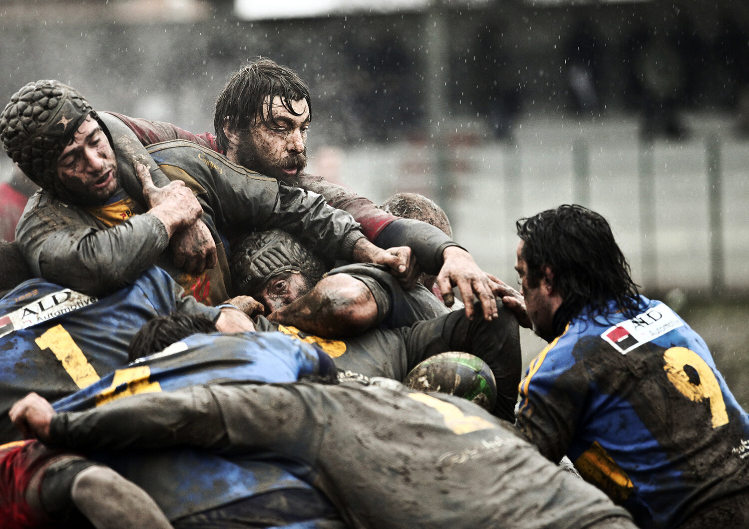 rugby.jpg