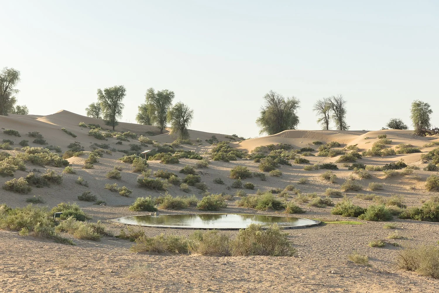 foundations_of_a_mirage_15.jpg