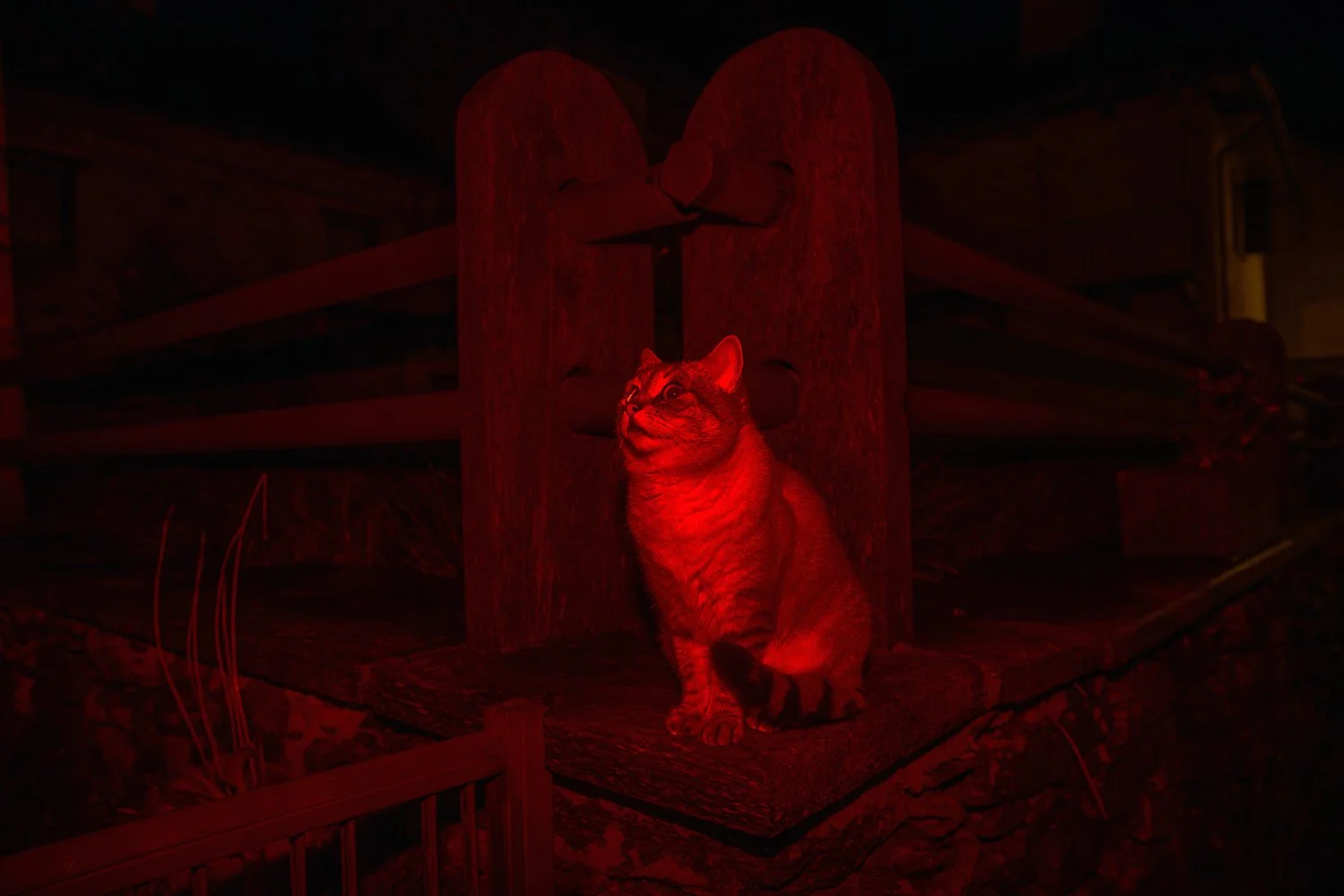 night_16.jpg