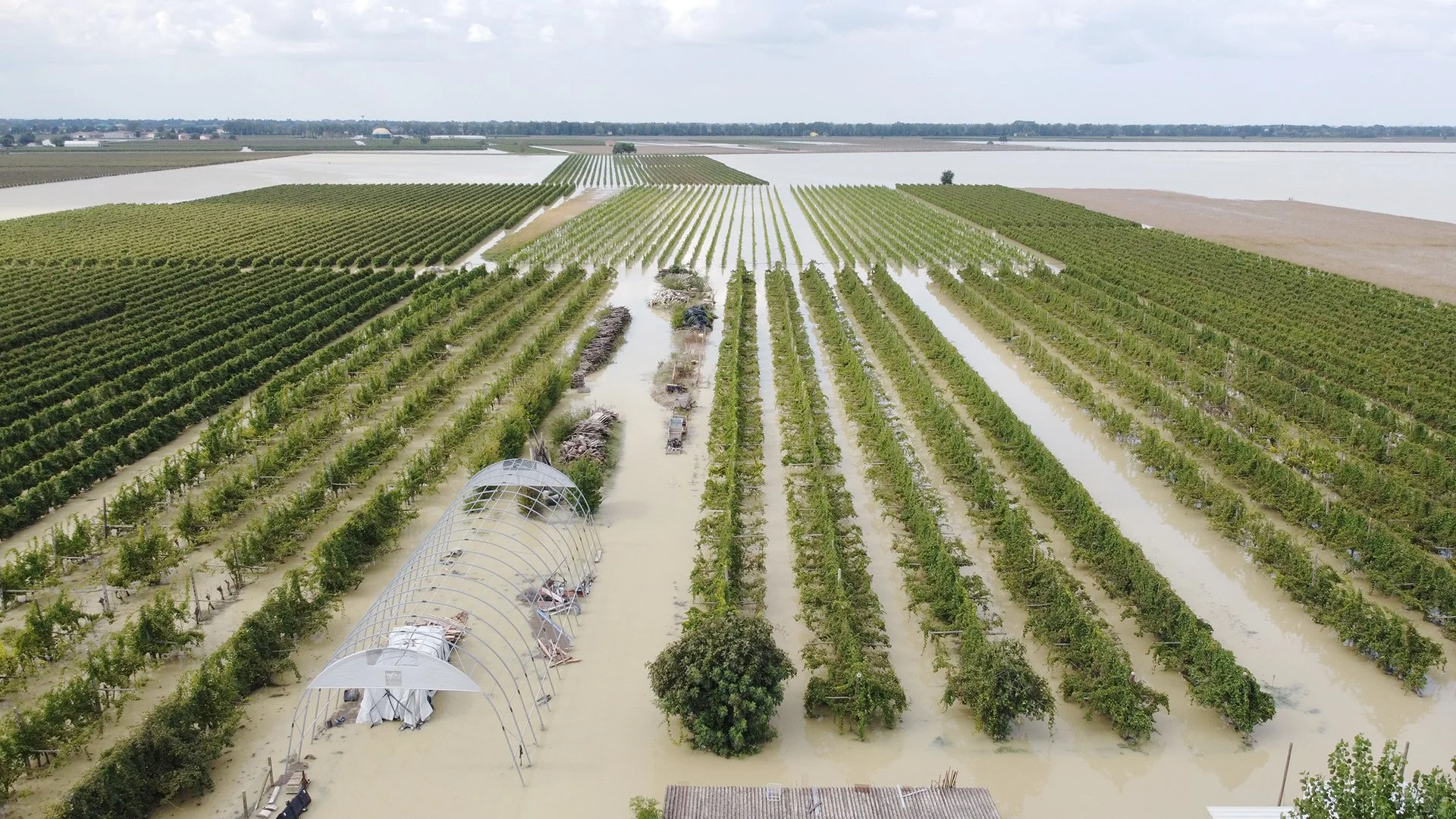 floods_italy_romagna_2024_photo31.jpg