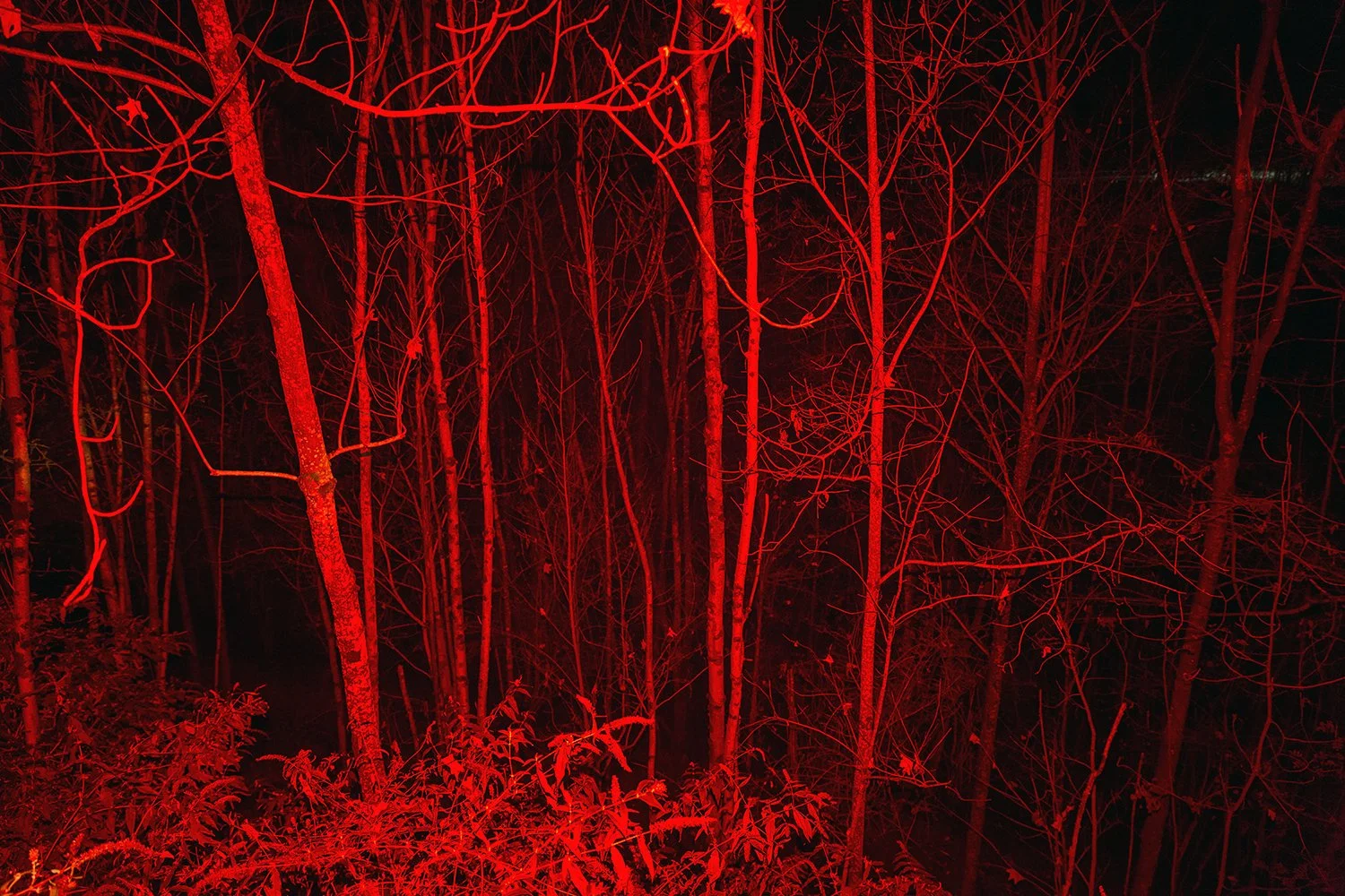 how-long-is-the-night-05.jpg