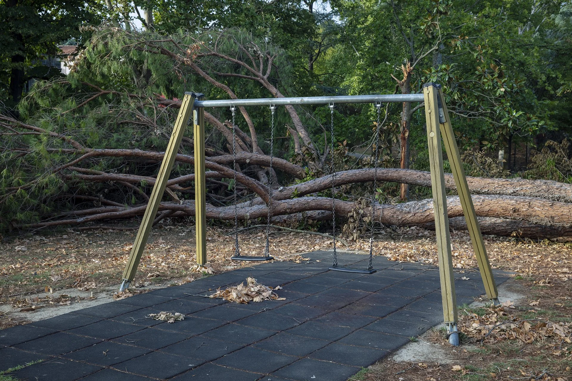The Aftermath. Italy's Recent Downburst
