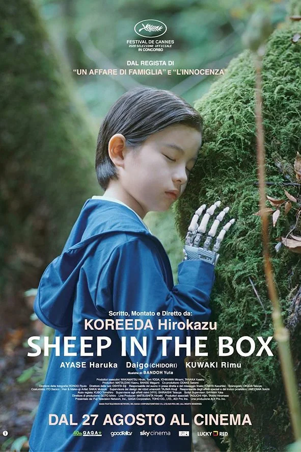 Sheep in the Box. Il sogno di sottrarre qualcuno alla morte