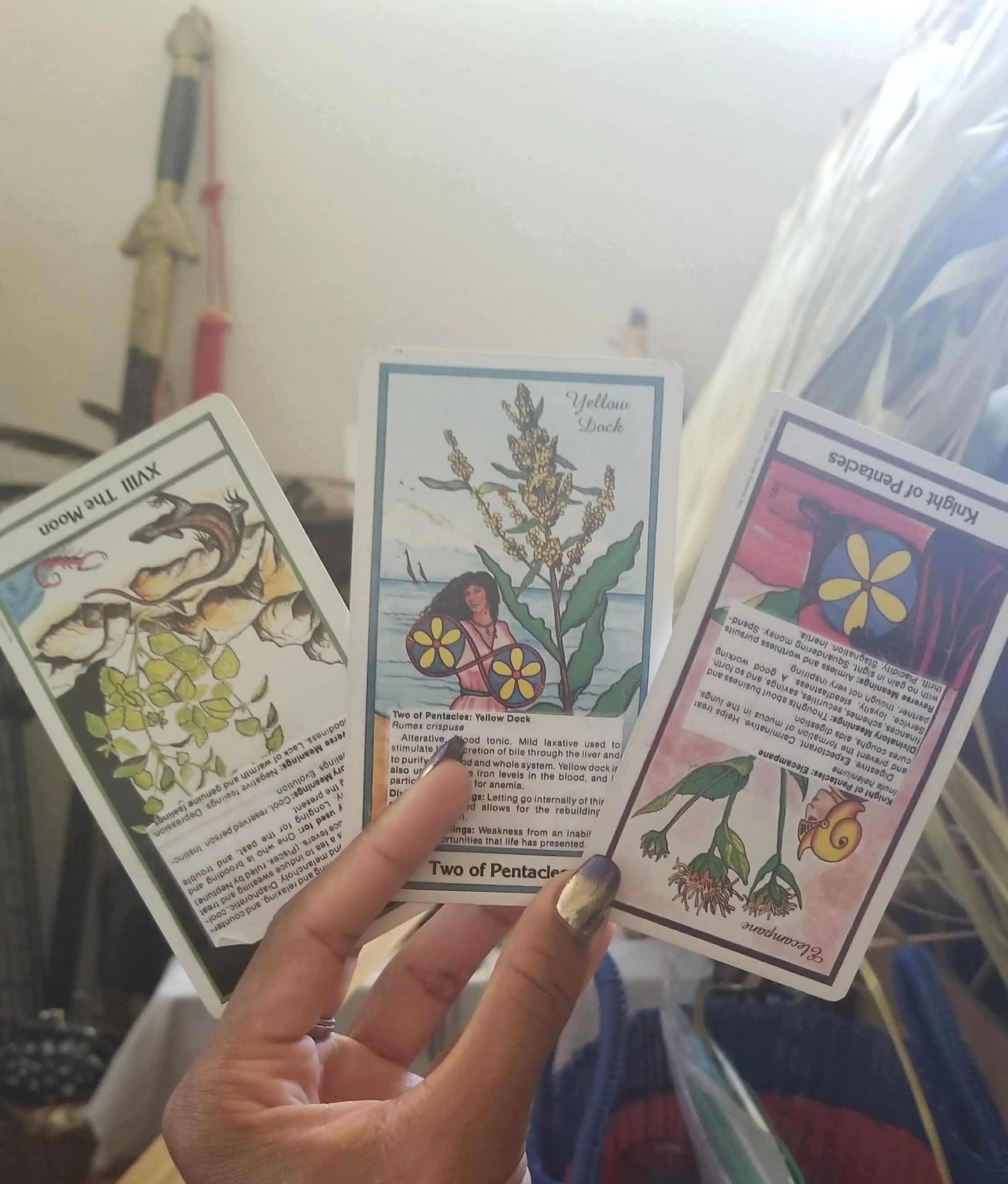 20170905_132341.jpg