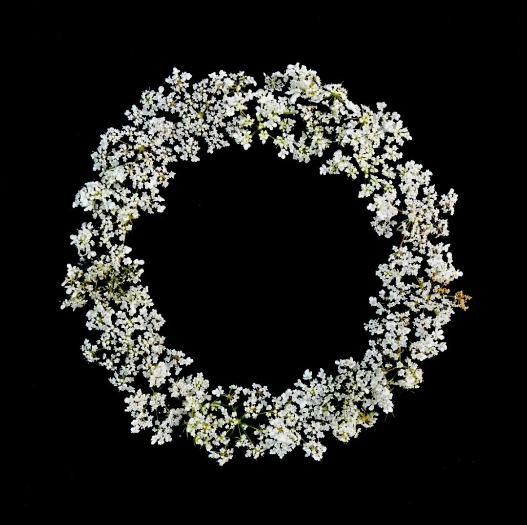 Black Culture &gt; Blackness: On the Invention of "Whiteness"