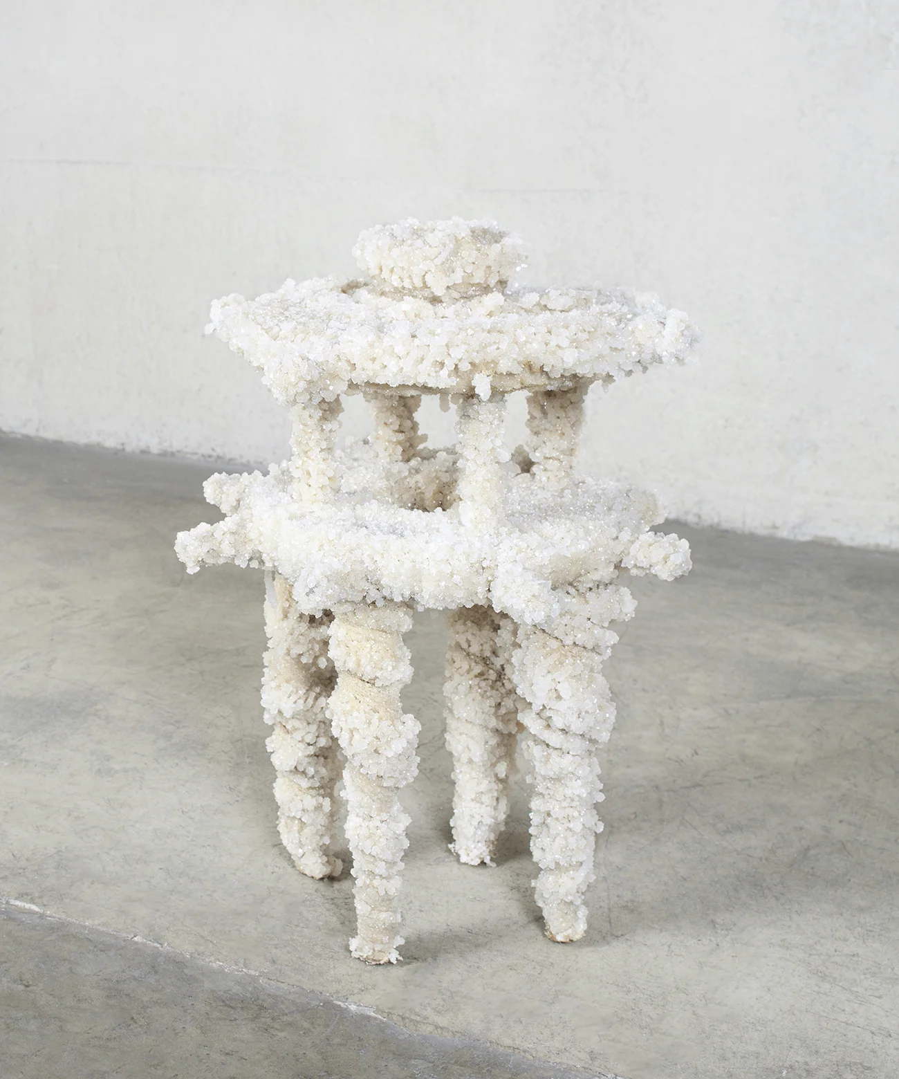 4. Bleached (after dipping).jpg