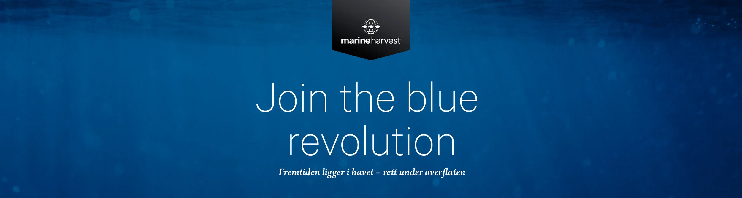 Marine Harvest heading hfjobb.jpg