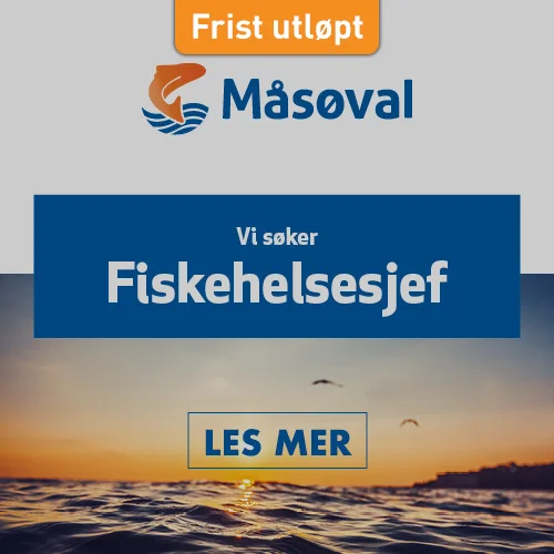 HFjobb_boks_Masoval_fiskehelse_500x500_utløpt.jpg