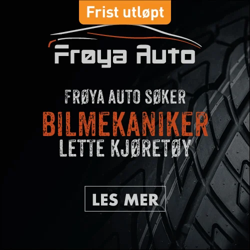 FroyaAuto_500x500_utløpt.jpg