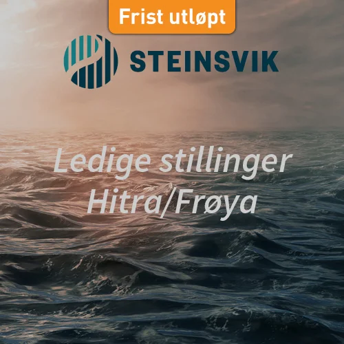 Steinsvik_500x500_utløpt.jpg