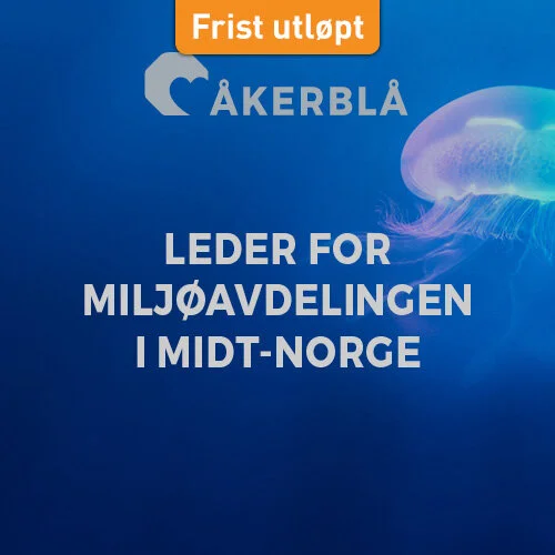 Åkerblå_500x500.jpg