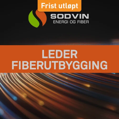 Sodvin_leder_fiber_500x500_utløpt.jpg