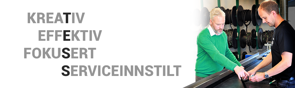 Er_du_TESS_Innesalg.png