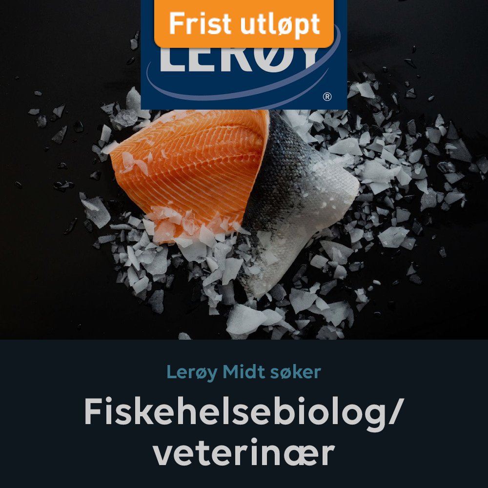 Lerøy Fiskehelsebiolog HFjobb+FB2.jpg