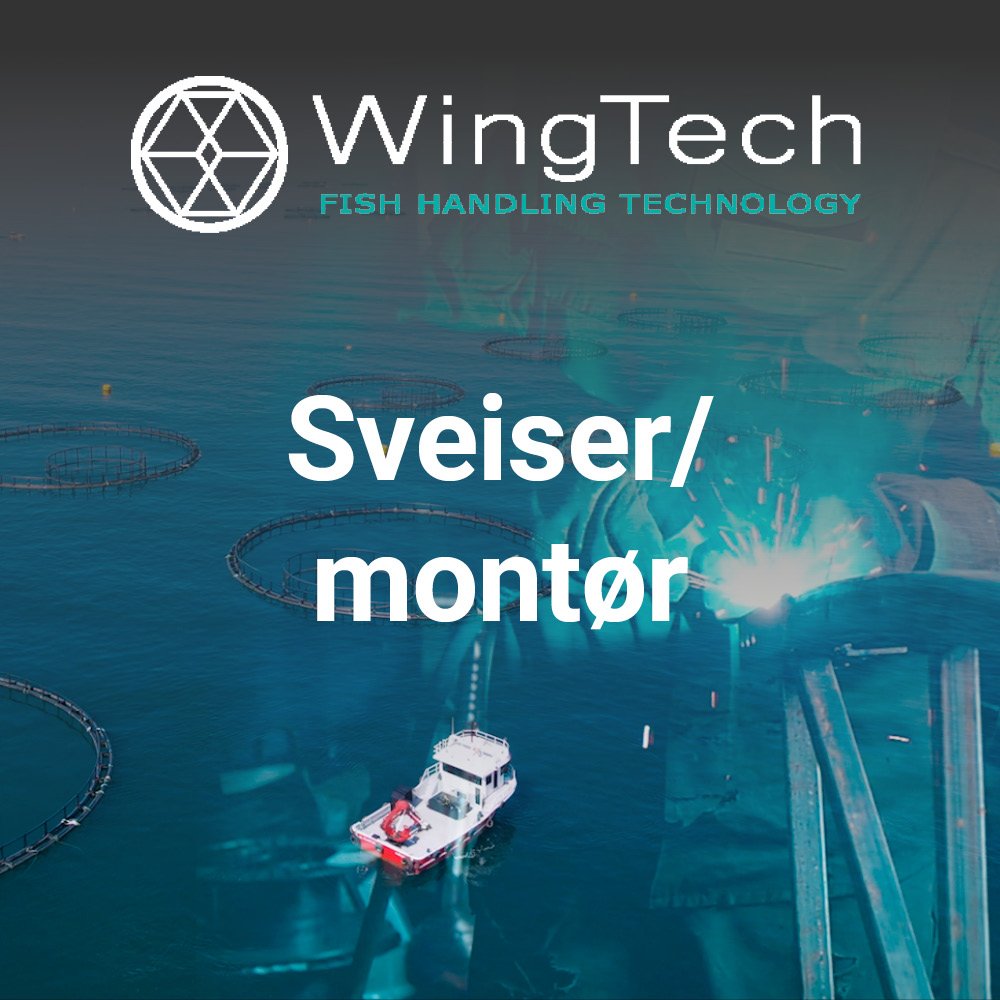 Wingtech Sveiser HFjobb+FB.jpg