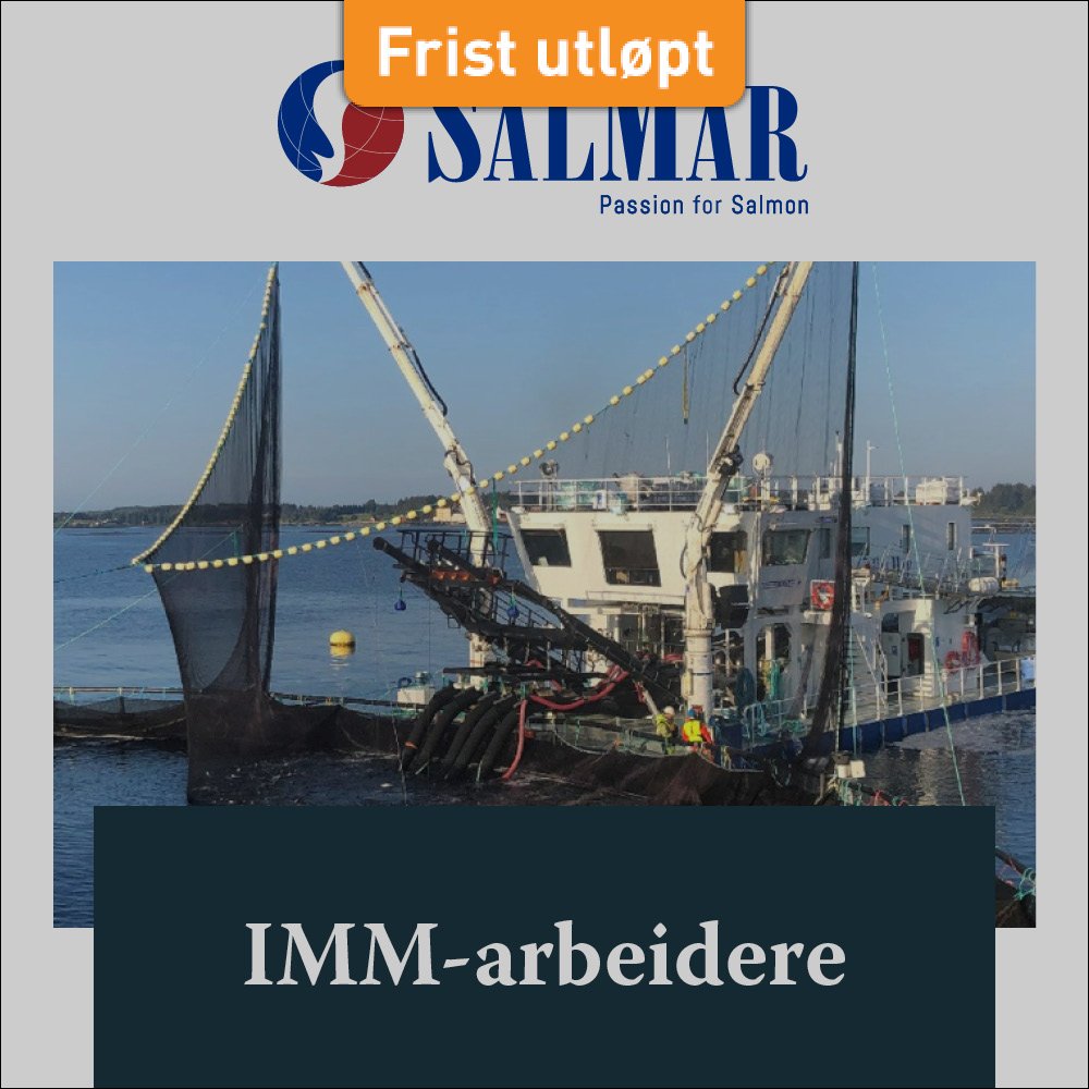 SalMar IMM-arbeidere HFjobb+FB2.jpg