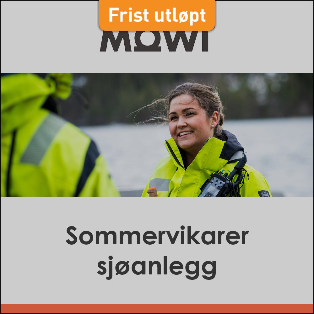 Mowi Sommervikarer HFjobb+FB2.jpg