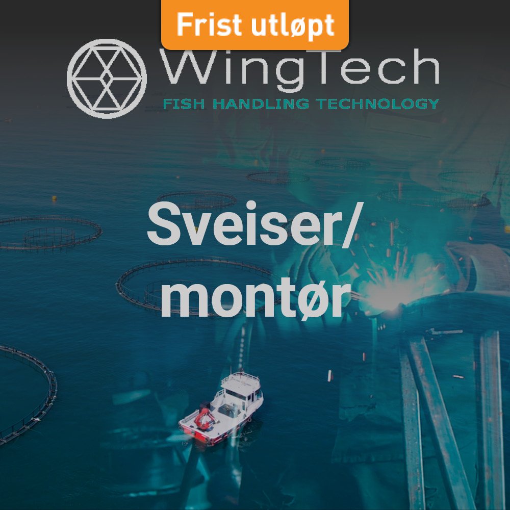 Wingtech Sveiser HFjobb+FB2.jpg