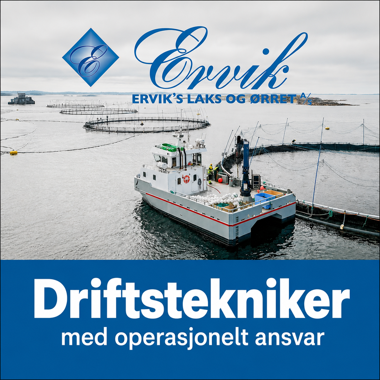 HF-jobb.jpeg