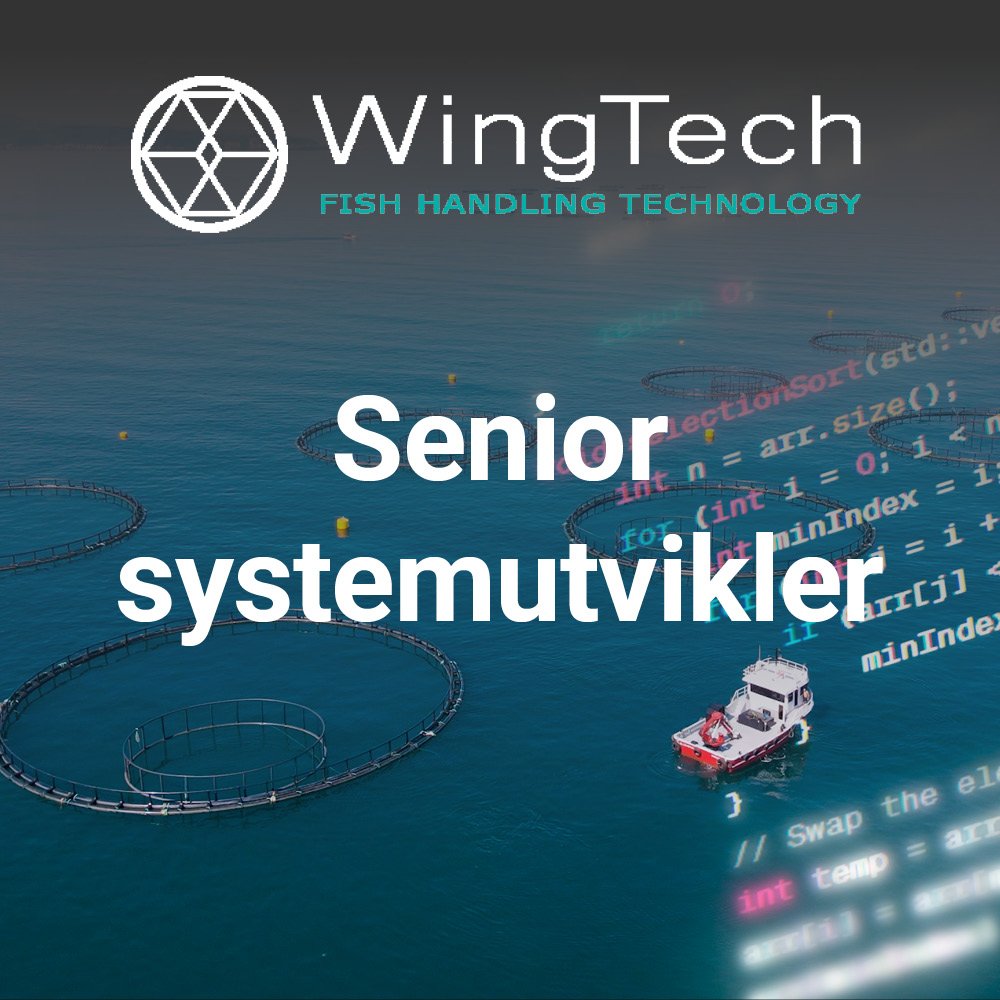 Wingtech Systemutvikler HFjobb+FB.jpg