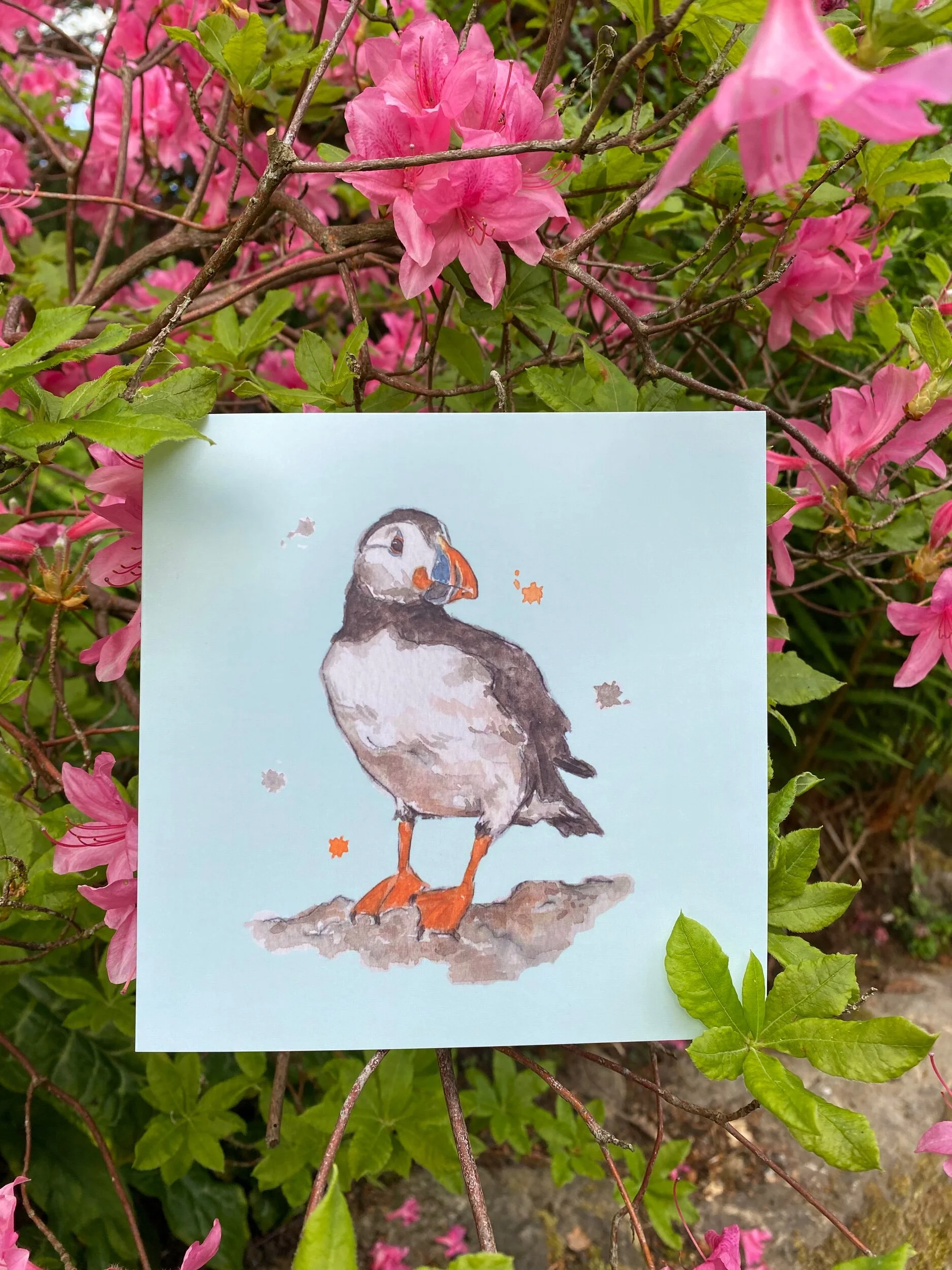 CCC52984-36DD-4089-8853-9870C57C2ACA