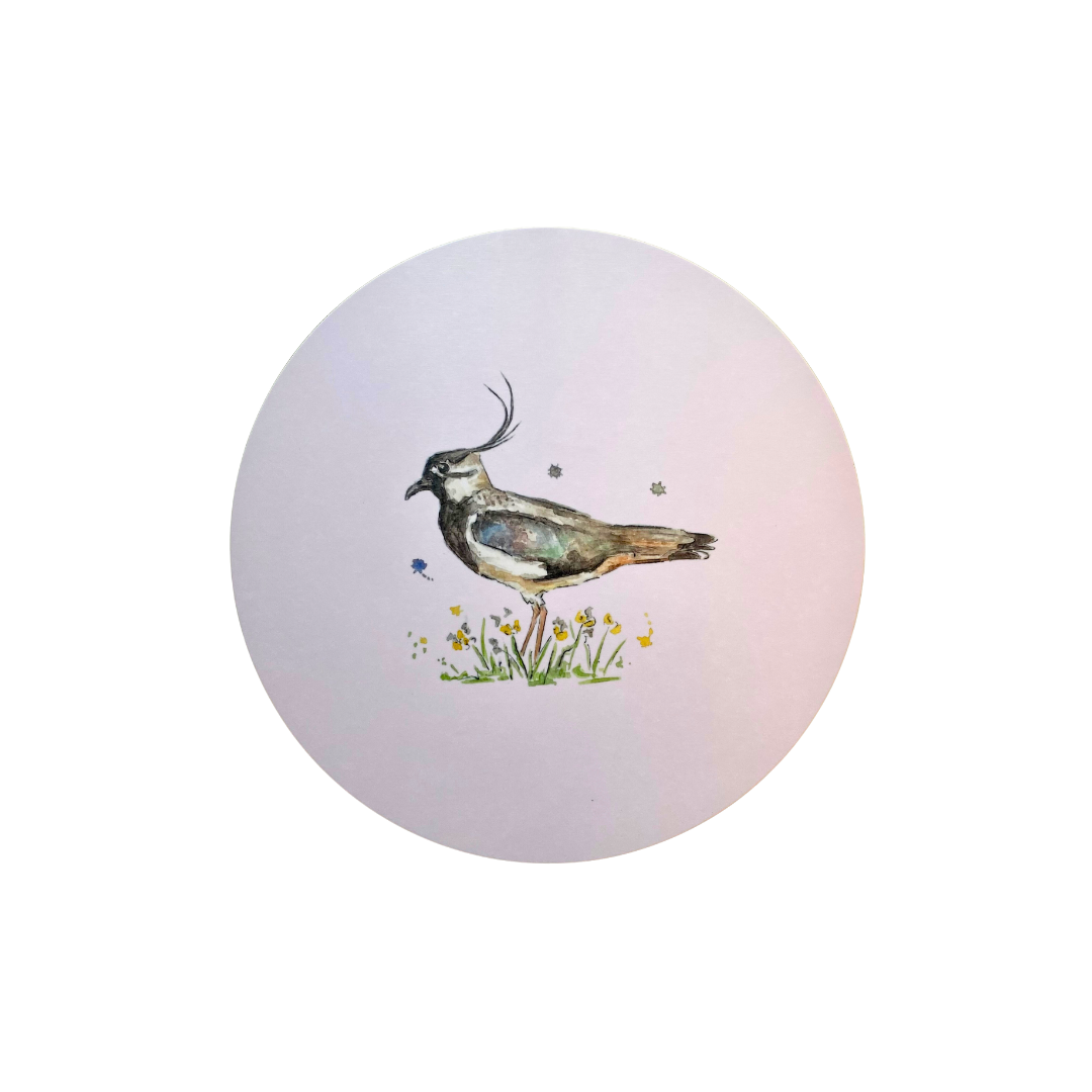 Pink Lapwing coaster.png