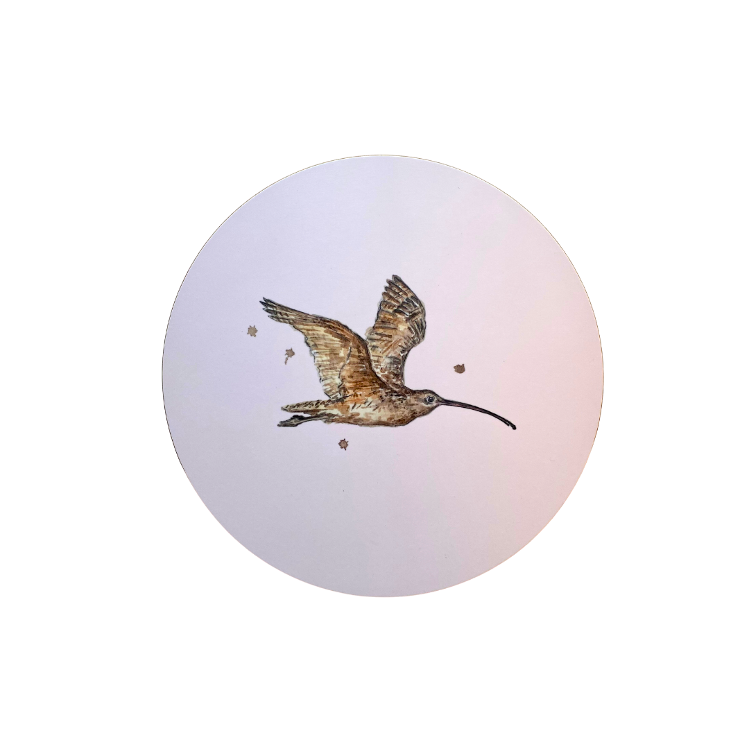 Pink Curlew coaster.png