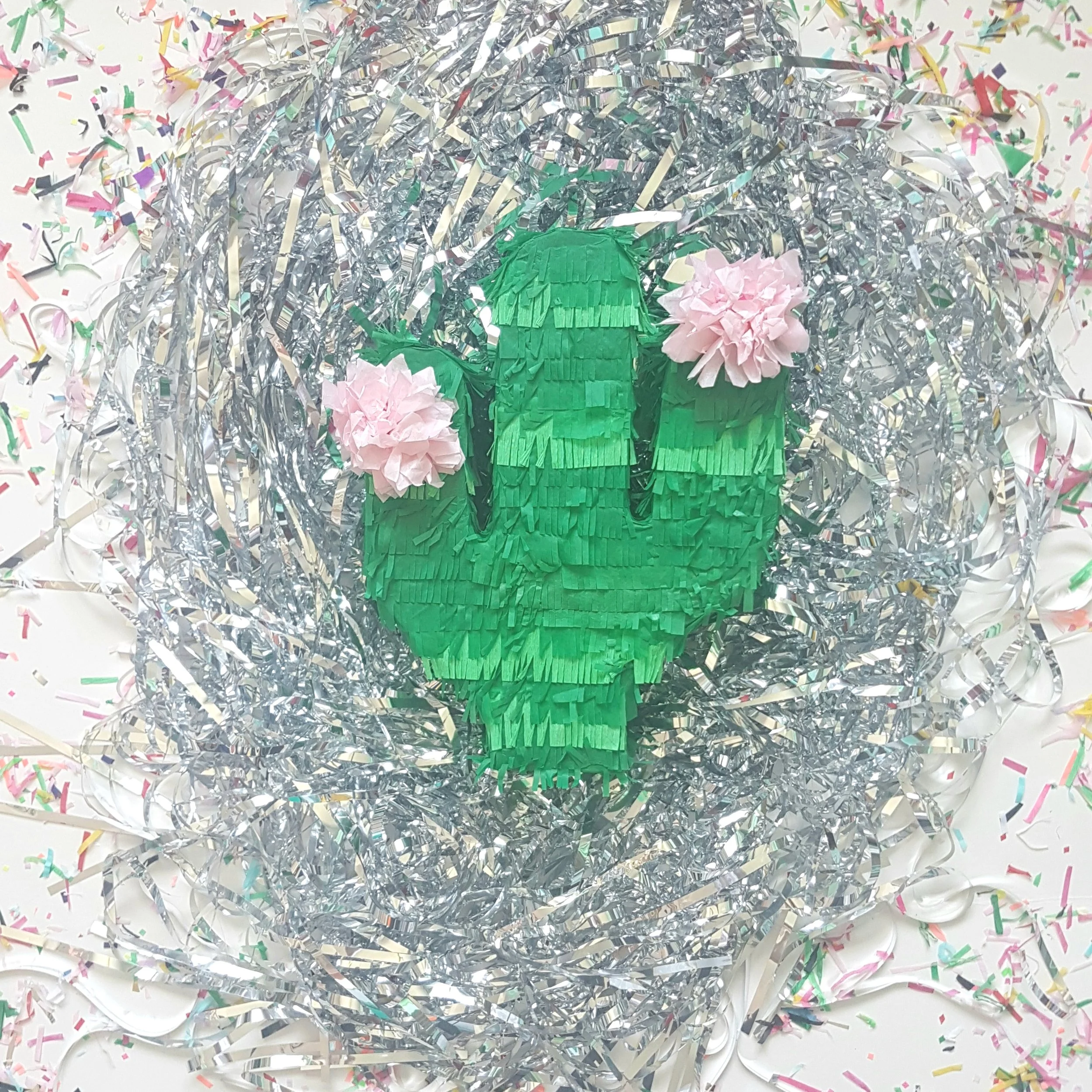 cactussmall2.jpg