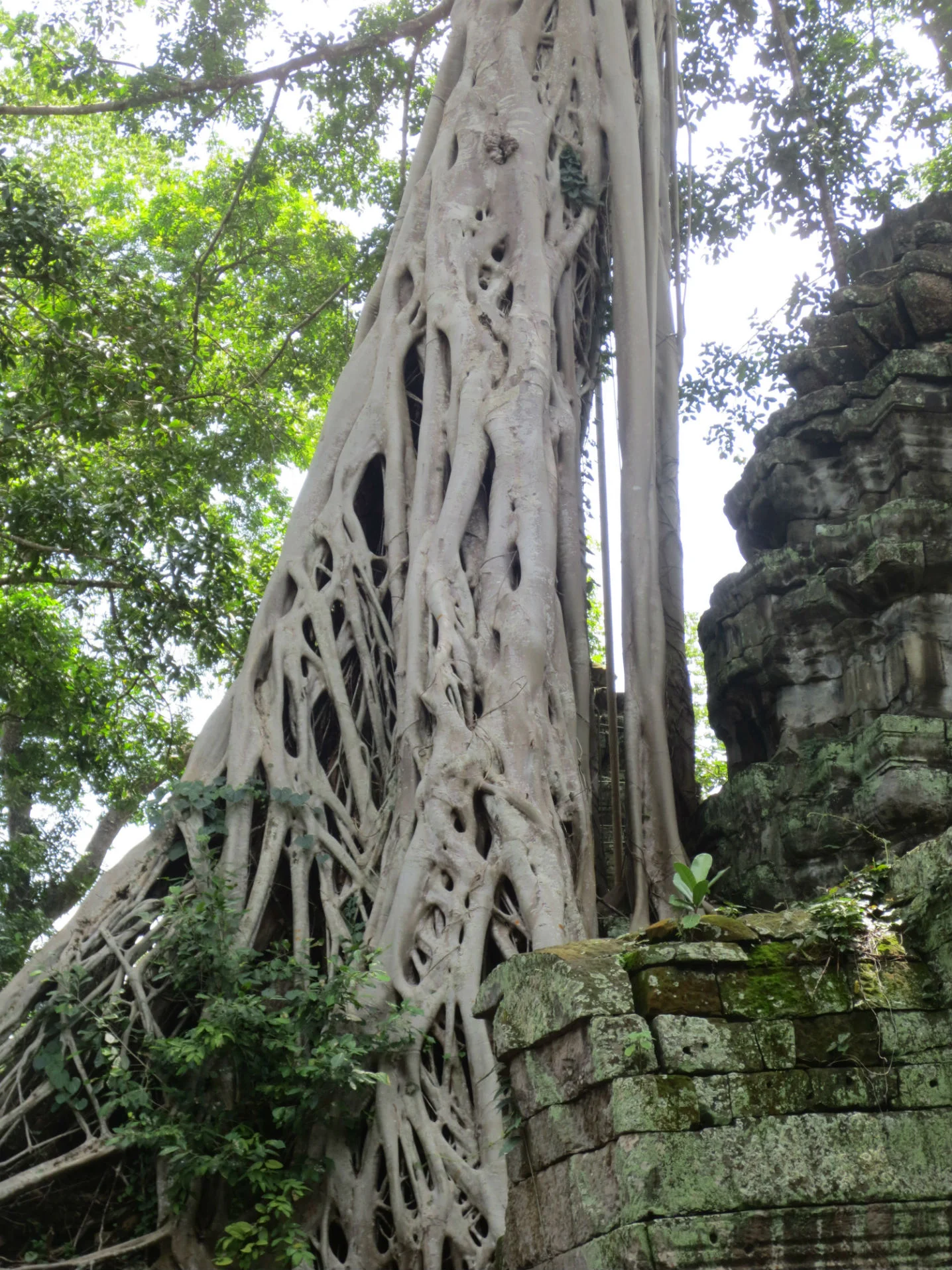 Tomb Raider filming stage