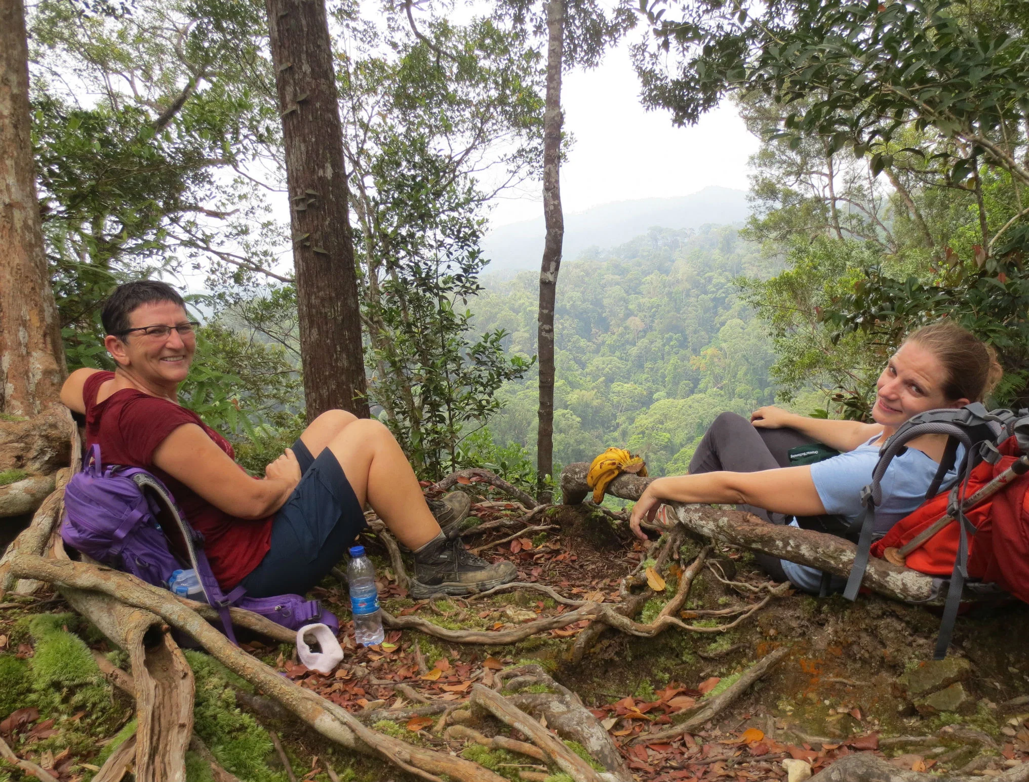Gunung Leuser National Park Sumatra