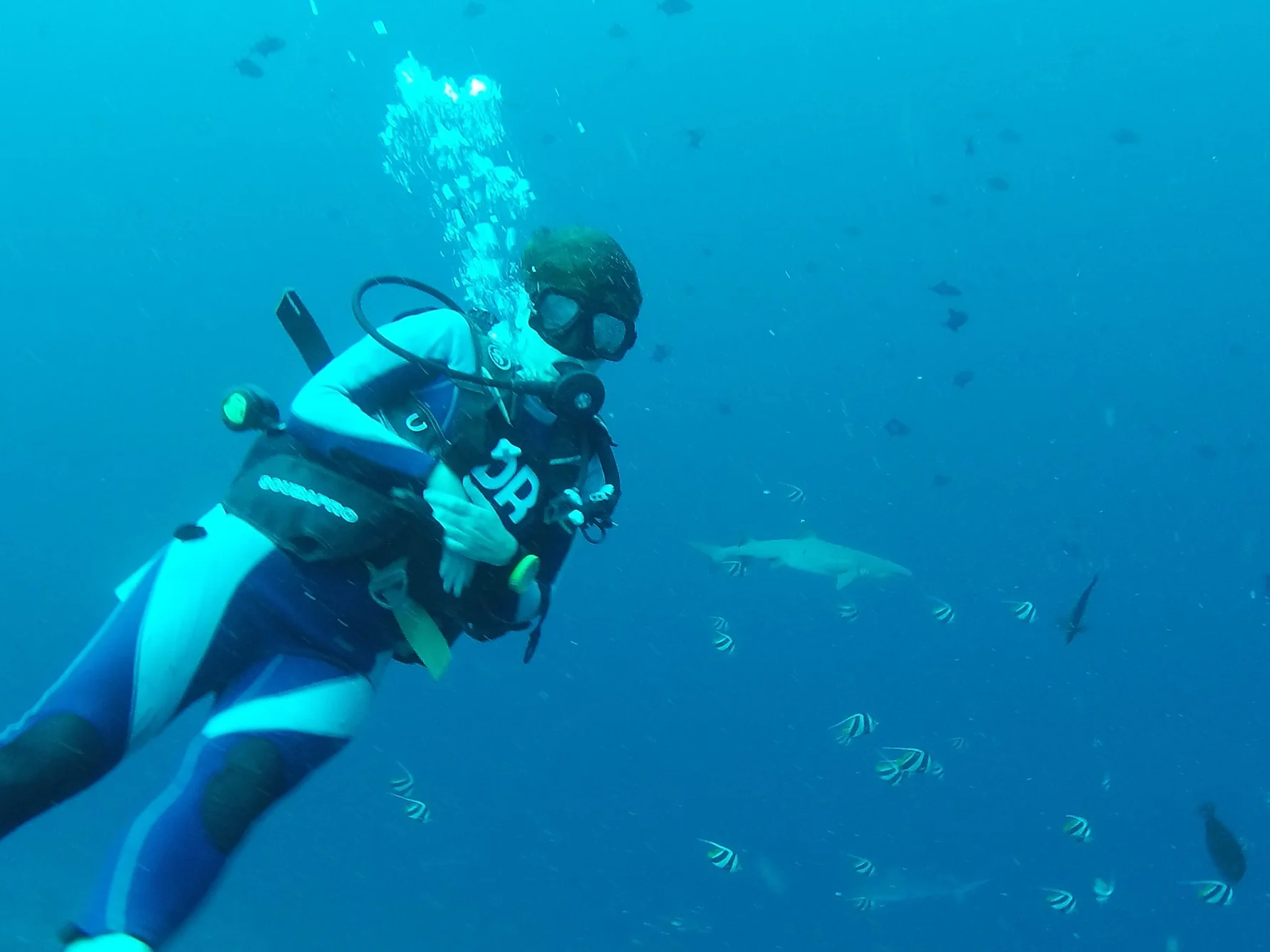 Marcella with a 2 meter long reef-shark