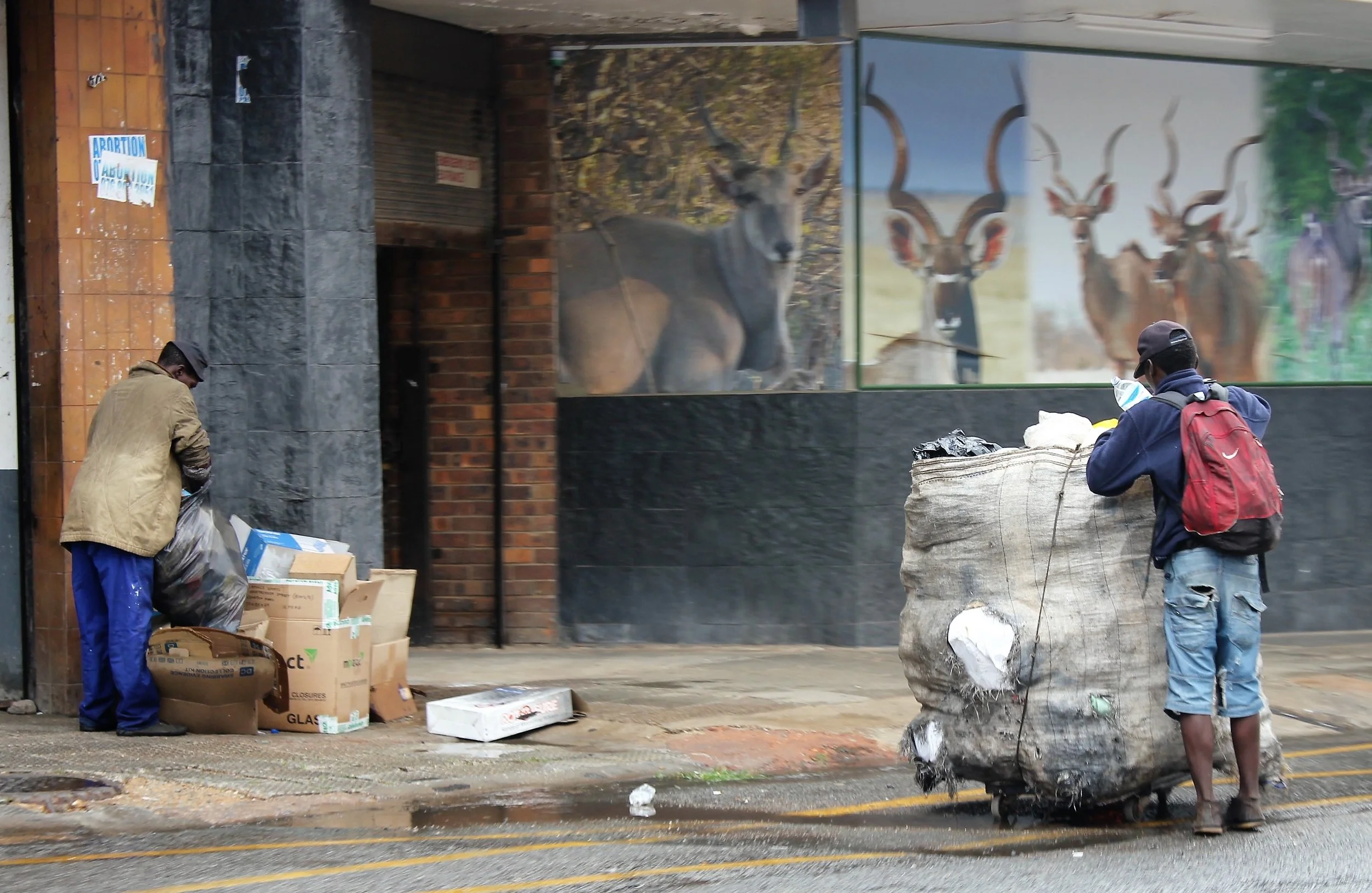 2016 - People collecting recyclable trash in Kempton Park 