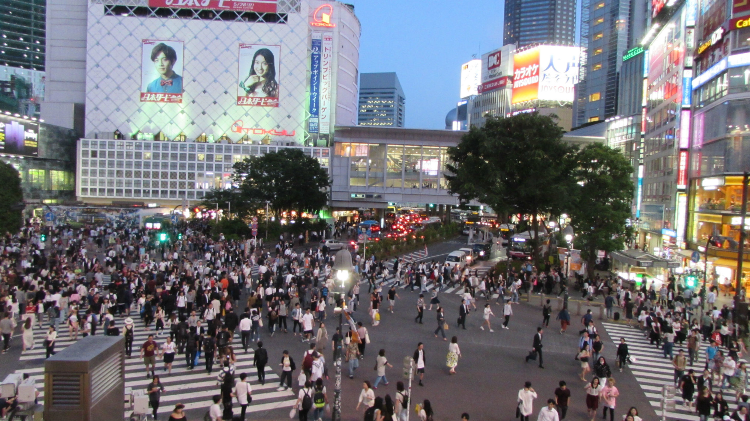 Organized chaos at the busiest pedestrian crossing in the world in Shubija, Tokyo