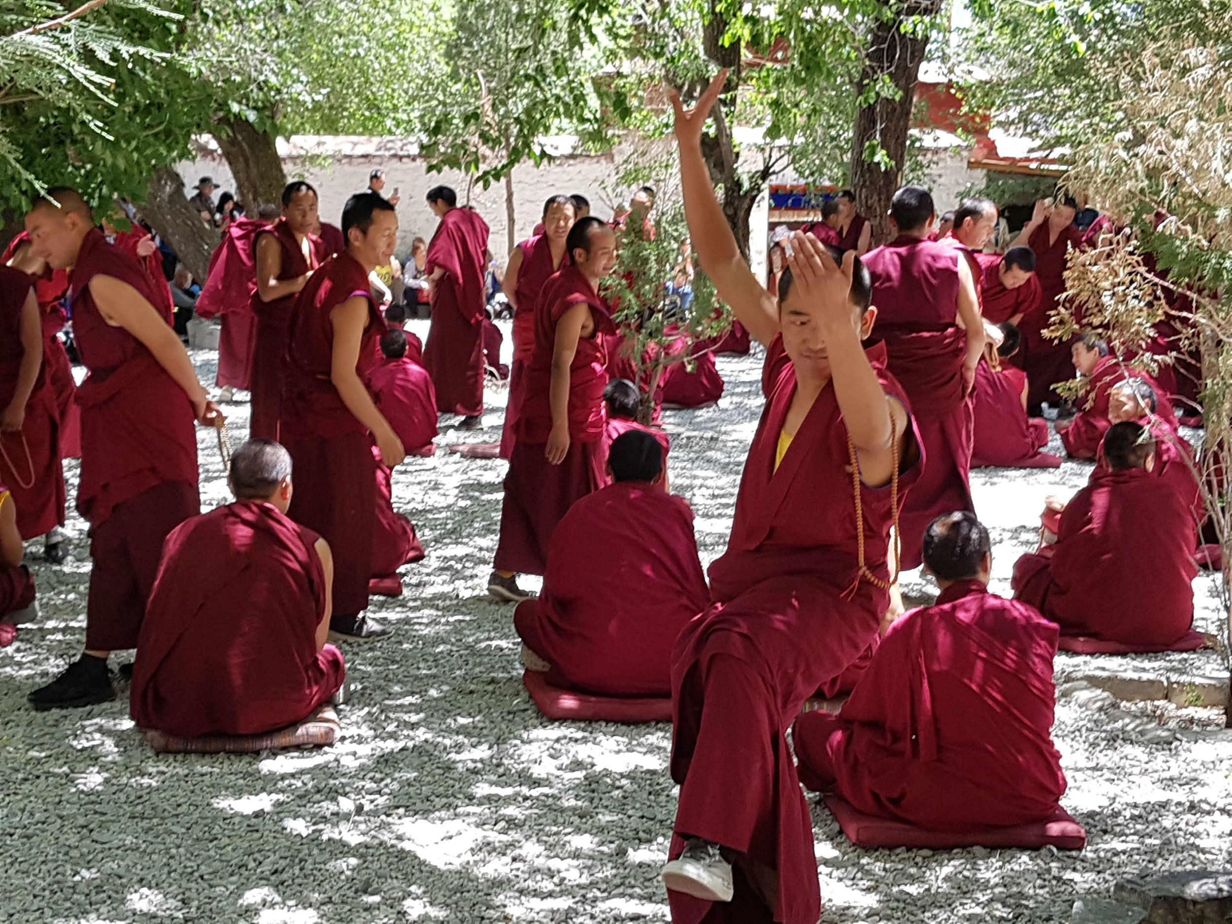 Sera Monastery - monks debating