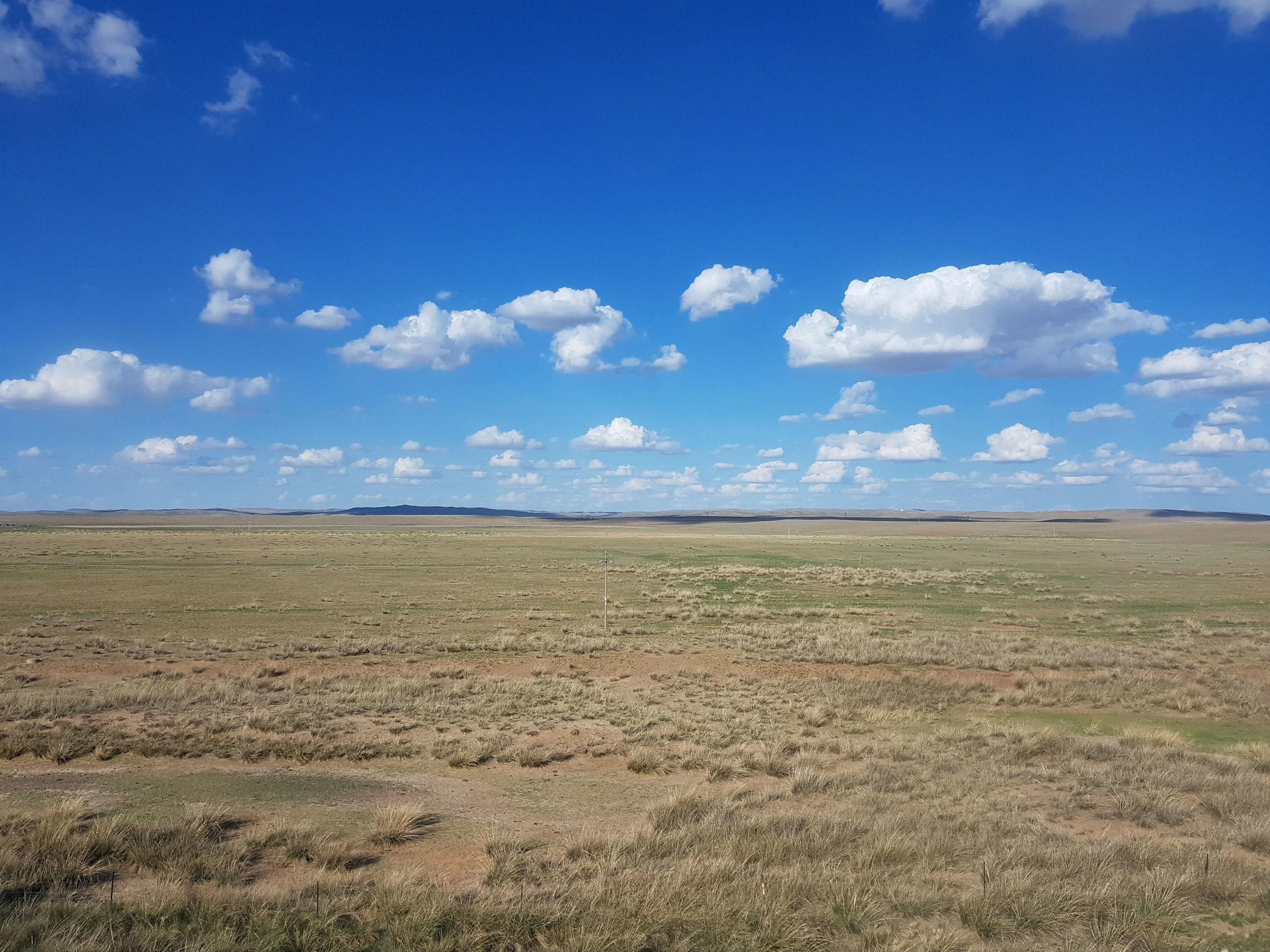 Mongolian steppe - just look at all that space