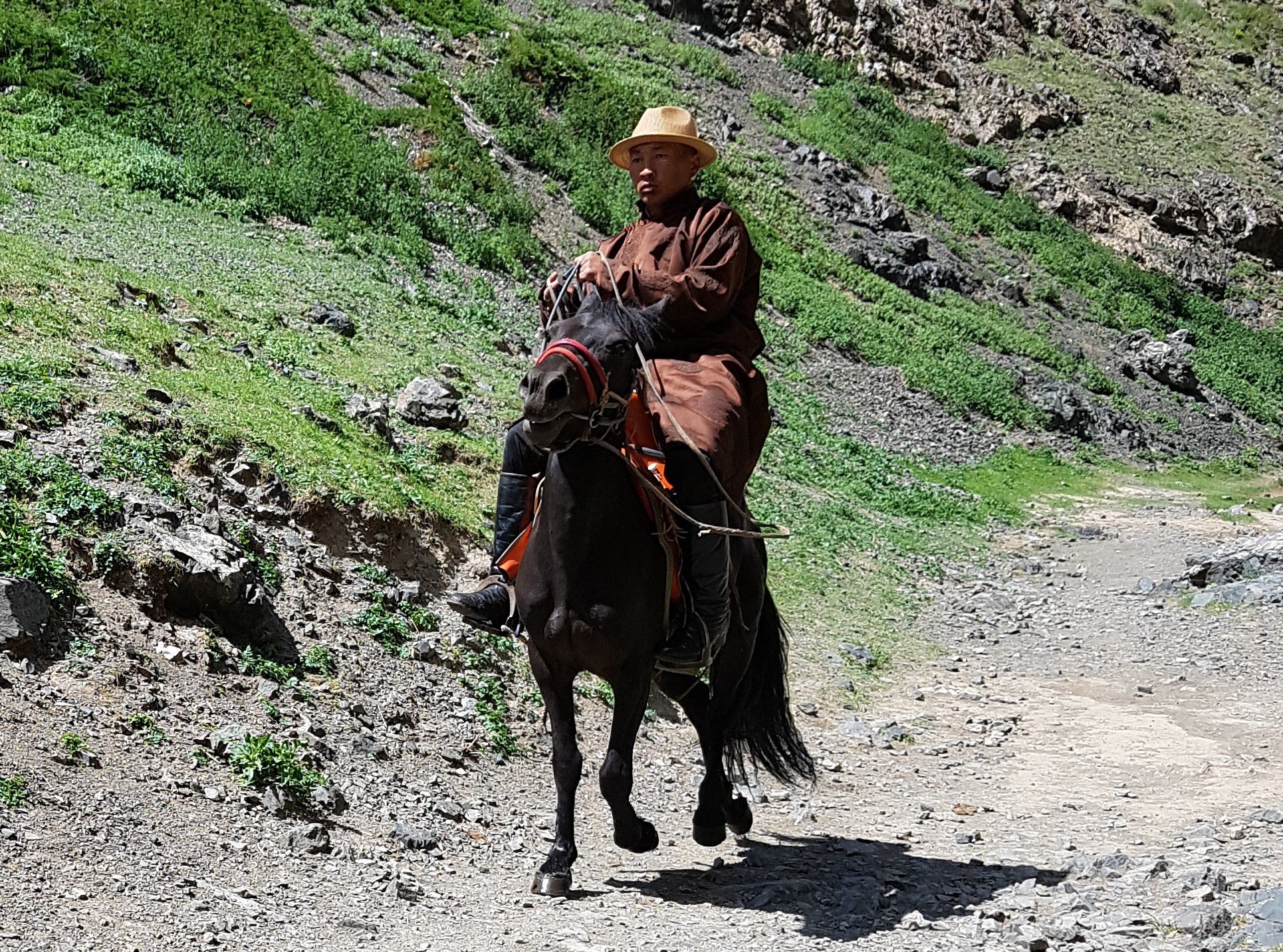 A lonely herder on his horse in the Yolo gorge