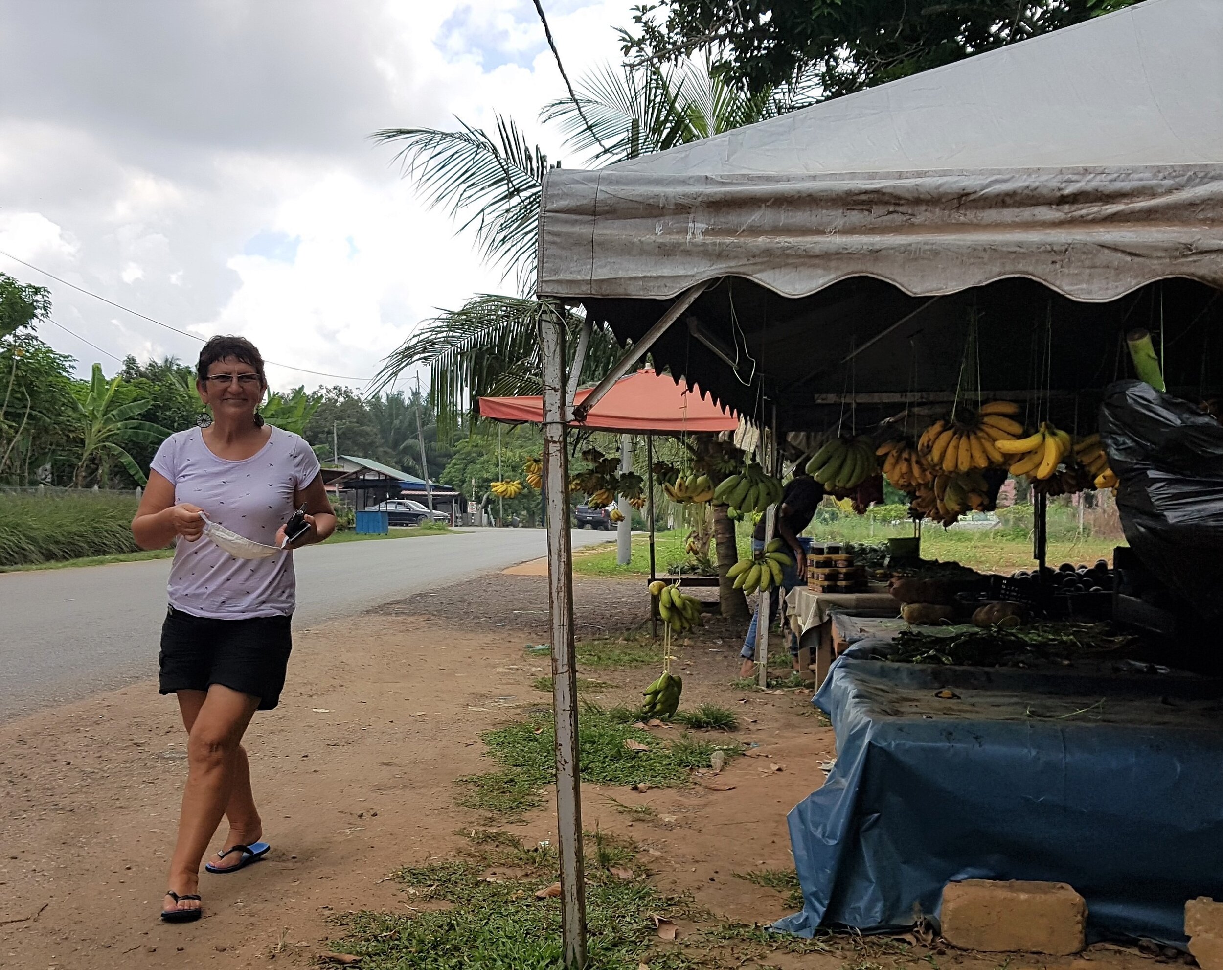 Stopping at roadside food stand