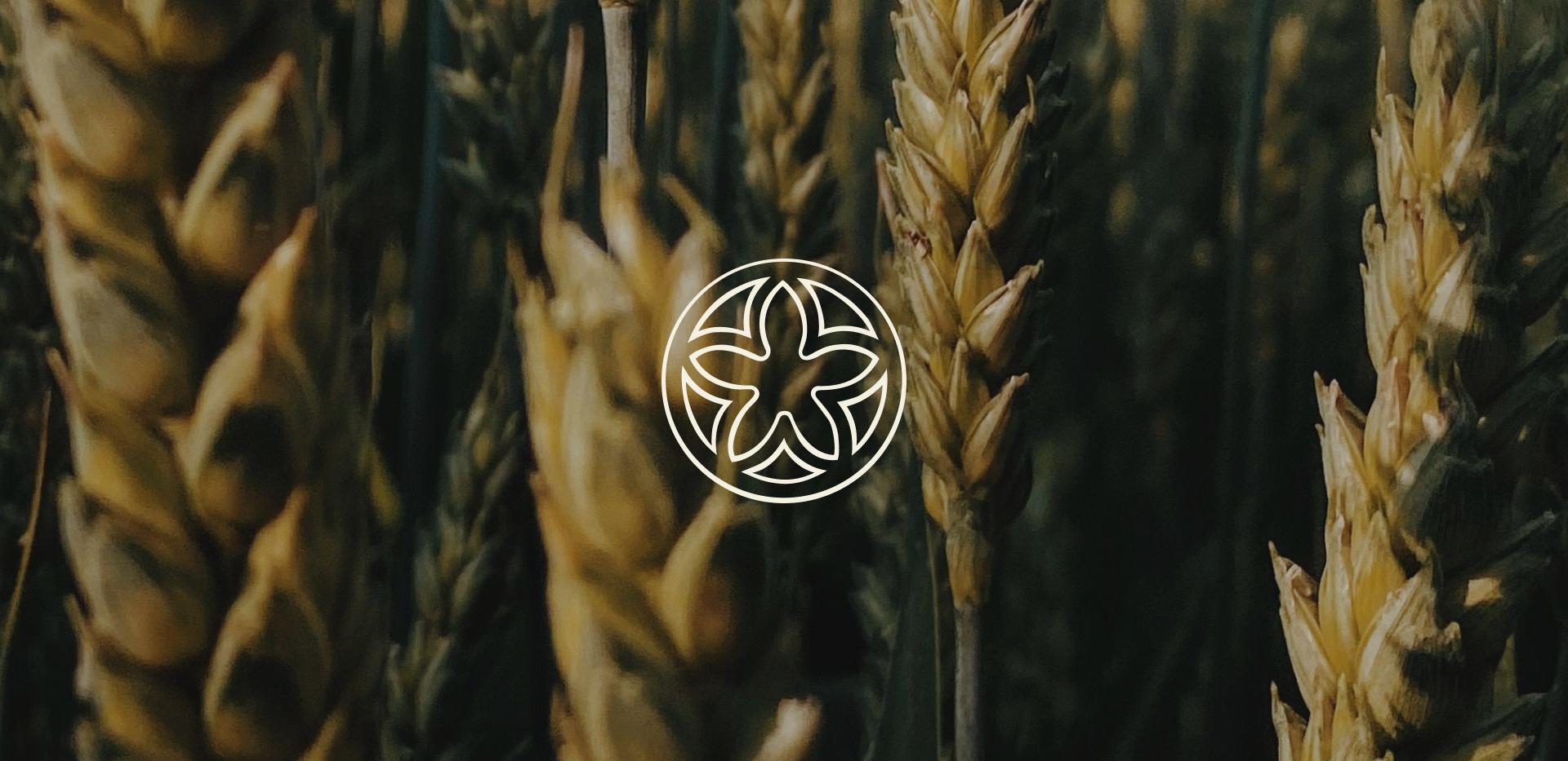 Banner topp_2.png