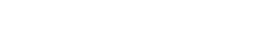Deneb Software Engineering