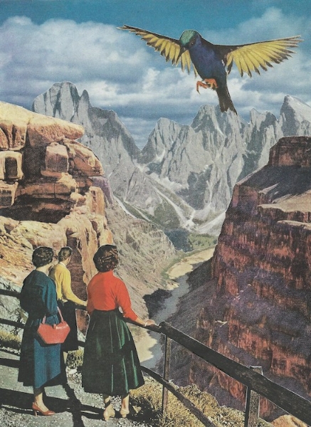 Untitled (Hummingbird III) • Private Collection