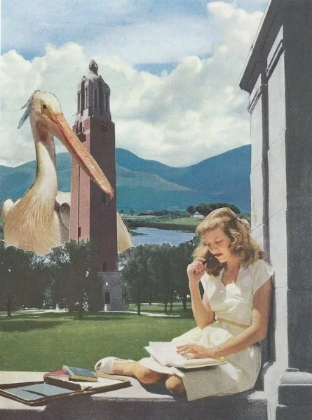 "Untitled (Big Bird on Campus)" • Private Collection