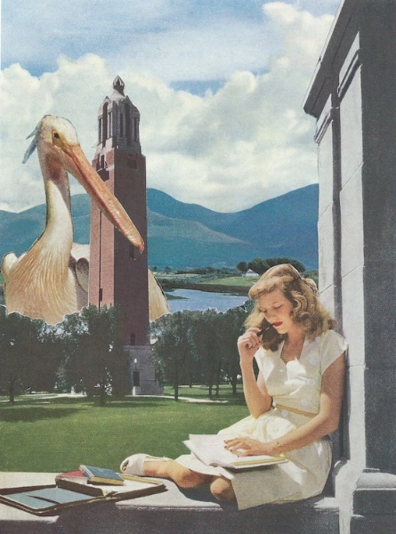 Untitled (Big Bird on Campus) • Private Collection