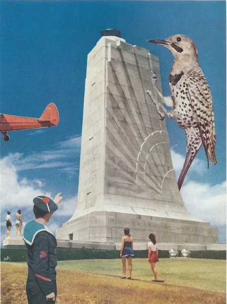 "Untitled (Flight)" • Available