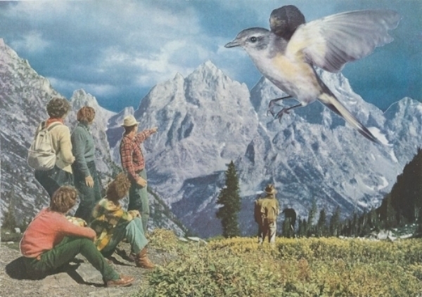 Untitled (Hummingbird II) • Private Collection