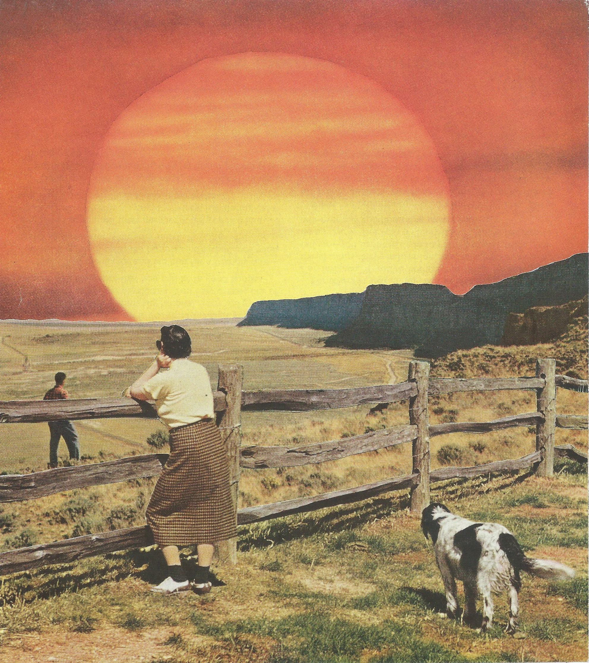 Untitled (Dog Days) • Private Collection