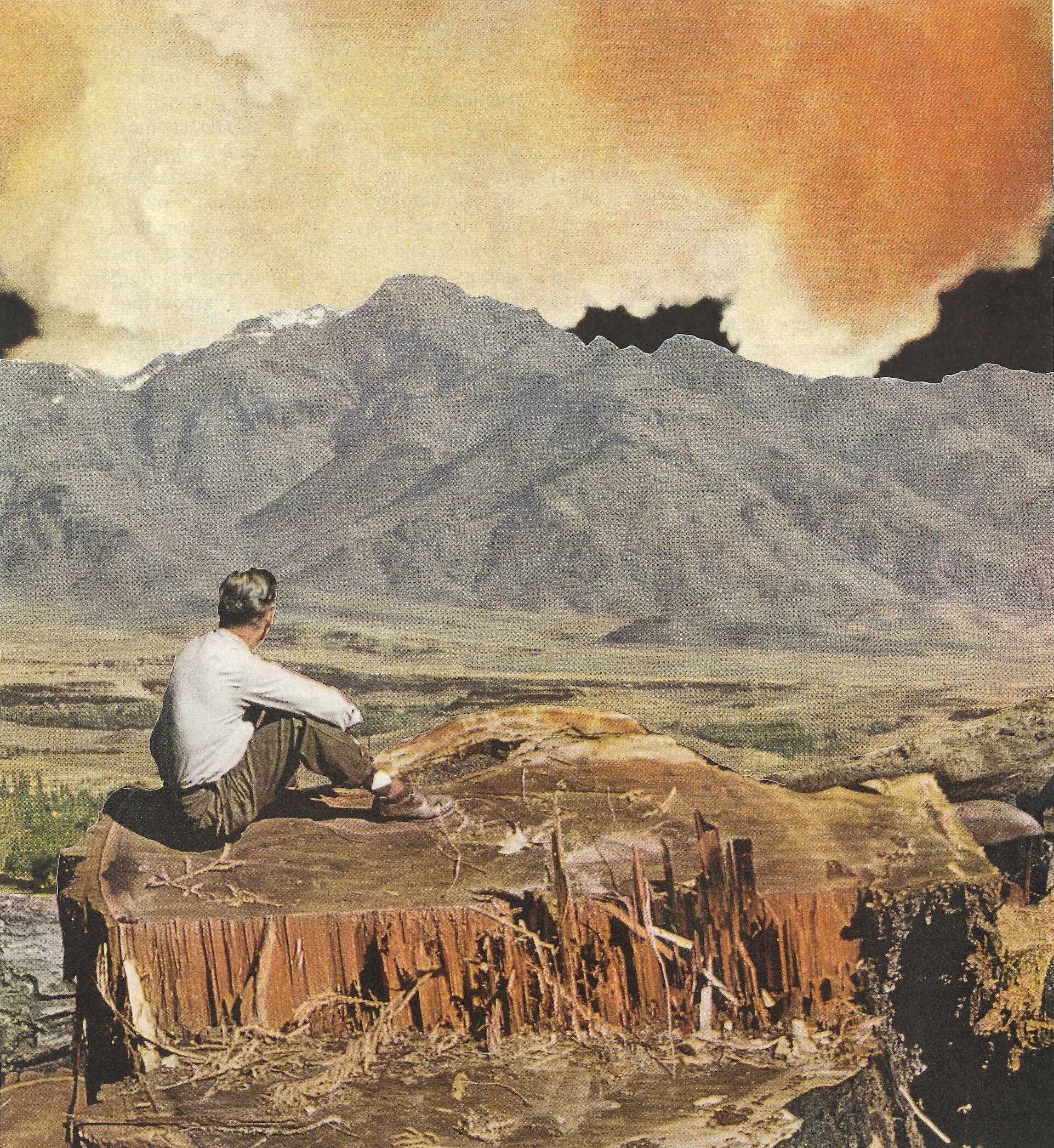 Untitled (Stumped) • Private Collection